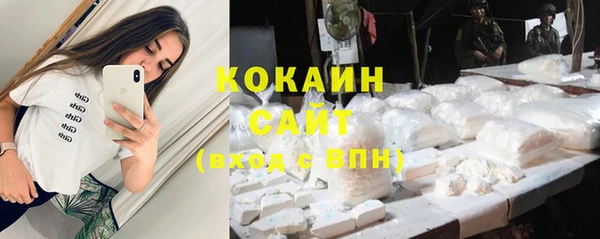 индика Михайловка