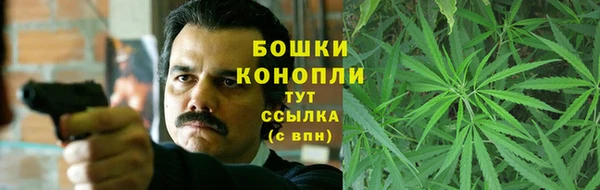 индика Михайловка