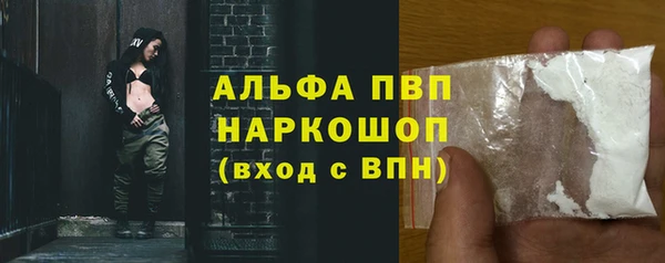 стаф Михайловск