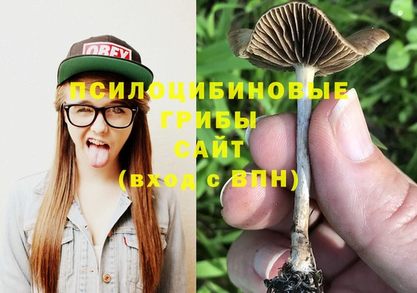 индика Михайловка