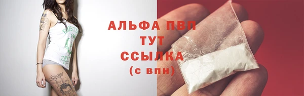 стаф Михайловск