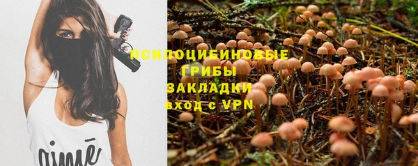 индика Михайловка
