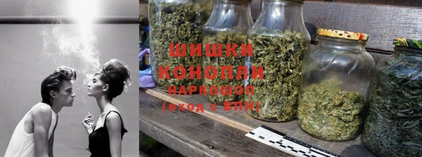 стаф Михайловск