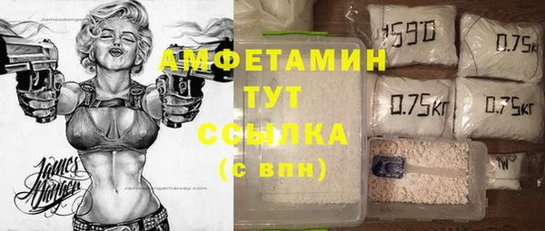 индика Михайловка