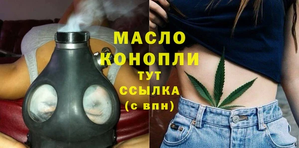 индика Михайловка