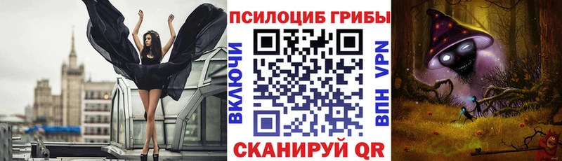 MEGA ТОР  Ардон  Галлюциногенные грибы ЛСД  где можно купить  